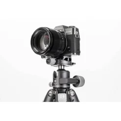 Benro GX30 Low-Profile Dual Panoramic Ball Head With PU56 Plate