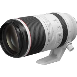 Canon RF 100-500mm f/4.5-7.1 L IS USM Lens