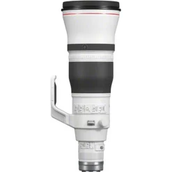 Canon RF 600mm f/4L IS USM Lens