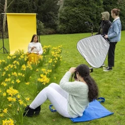 Colorama Paper Background 2.72 x 11m Dandelion LL CO116