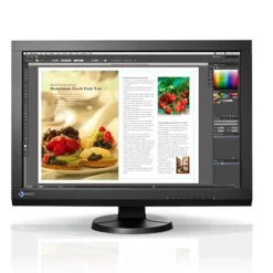 Eizo ColorEdge CX240 24 Widescreen IPS Monitor
