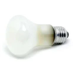 Elinchrom Super Leuci 100W Modelling Lamp for D-Lite