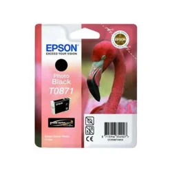 Epson Flamingo T0871 Photo Black Ink for R1900