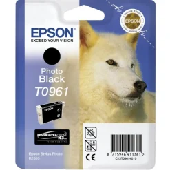 Epson Husky Black Ink T0961 for R2880