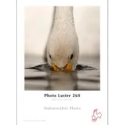 Hahnemuehle A4 Photo Lustre 260gsm 25 Sheets