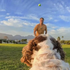 Insta360 Pet Harness Mount Size S