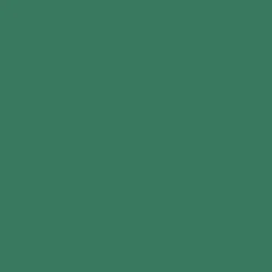 Lastolite Paper 2.72m x 11m (107 x 36') Pine Green