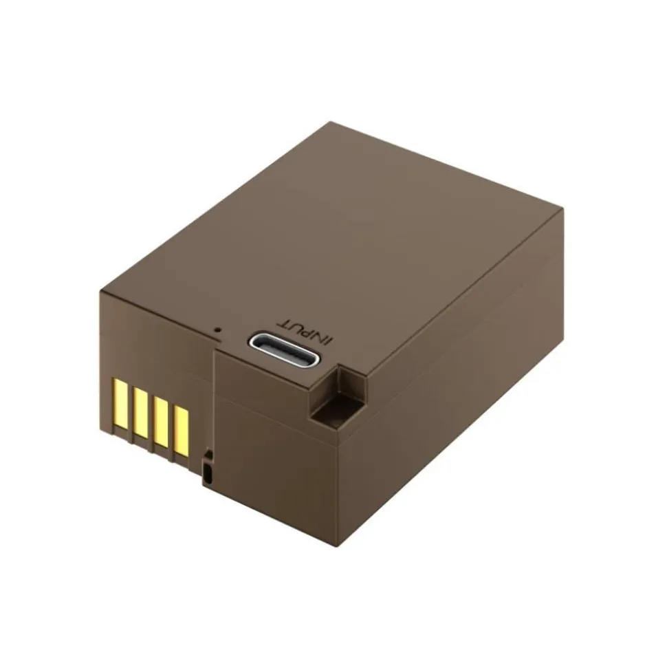 Newell Battery DMW-BLC12 with USB-C Onboard Recharge for Panasonic