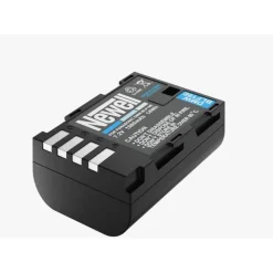 Newell Rechargeable Battery DMW-BLF19E