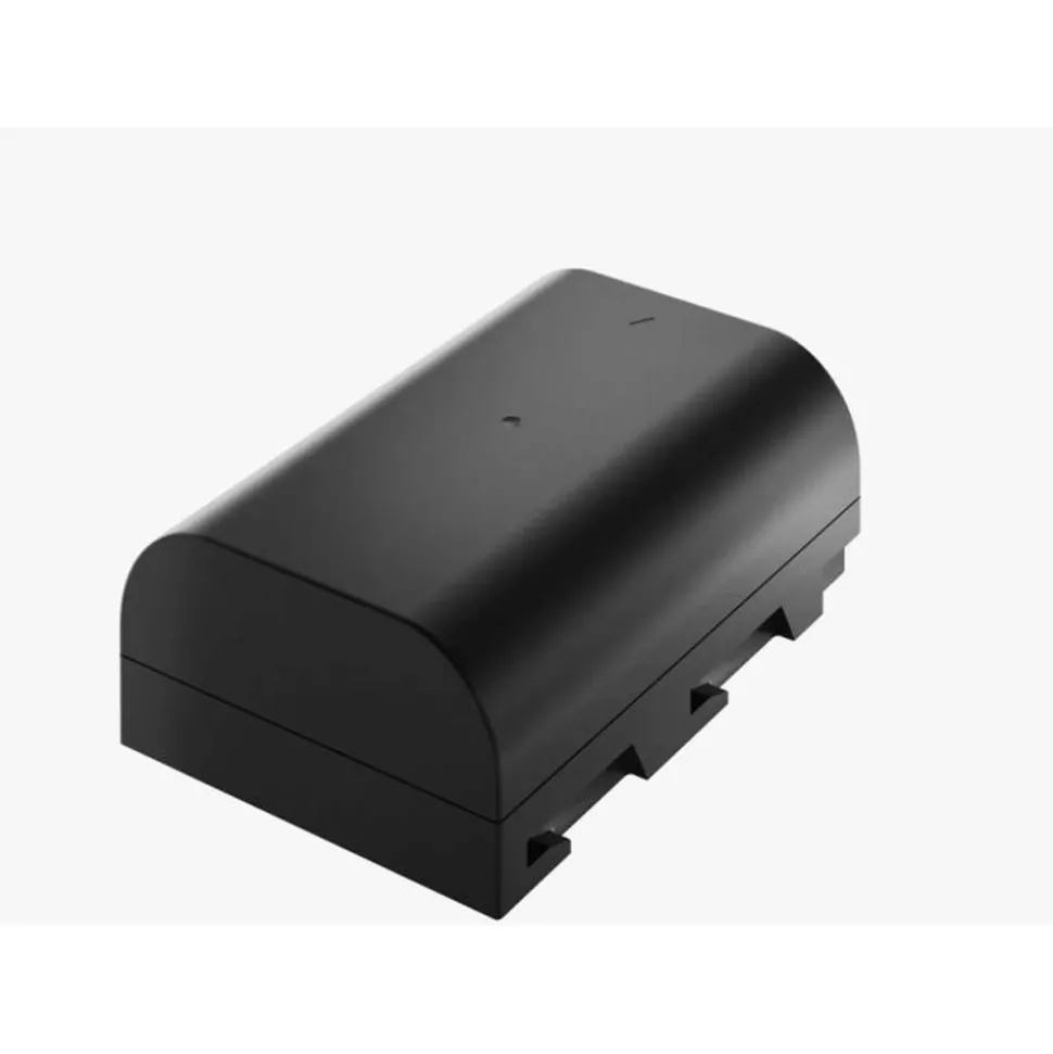 Newell Rechargeable Battery DMW-BLF19E