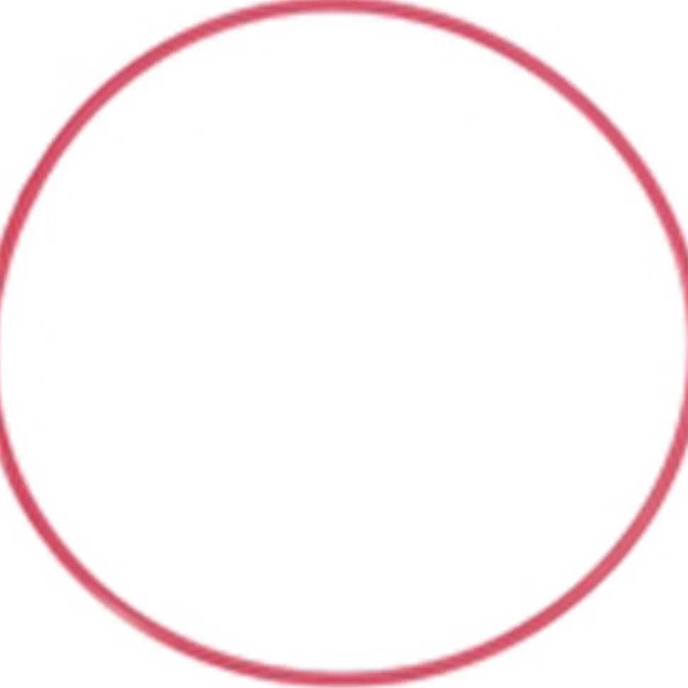 Olympus POL-050 O-Ring for PT-050 Underwater Housing