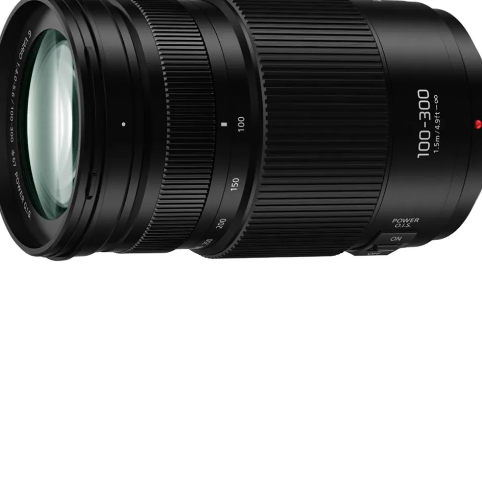 Panasonic Lumix G Vario 100-300mm f/4-5.6 II Power O.I.S. Lens