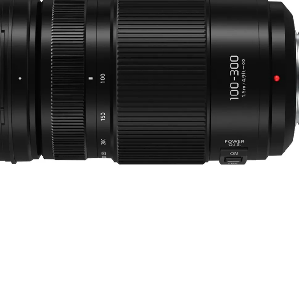 Panasonic Lumix G Vario 100-300mm f/4-5.6 II Power O.I.S. Lens
