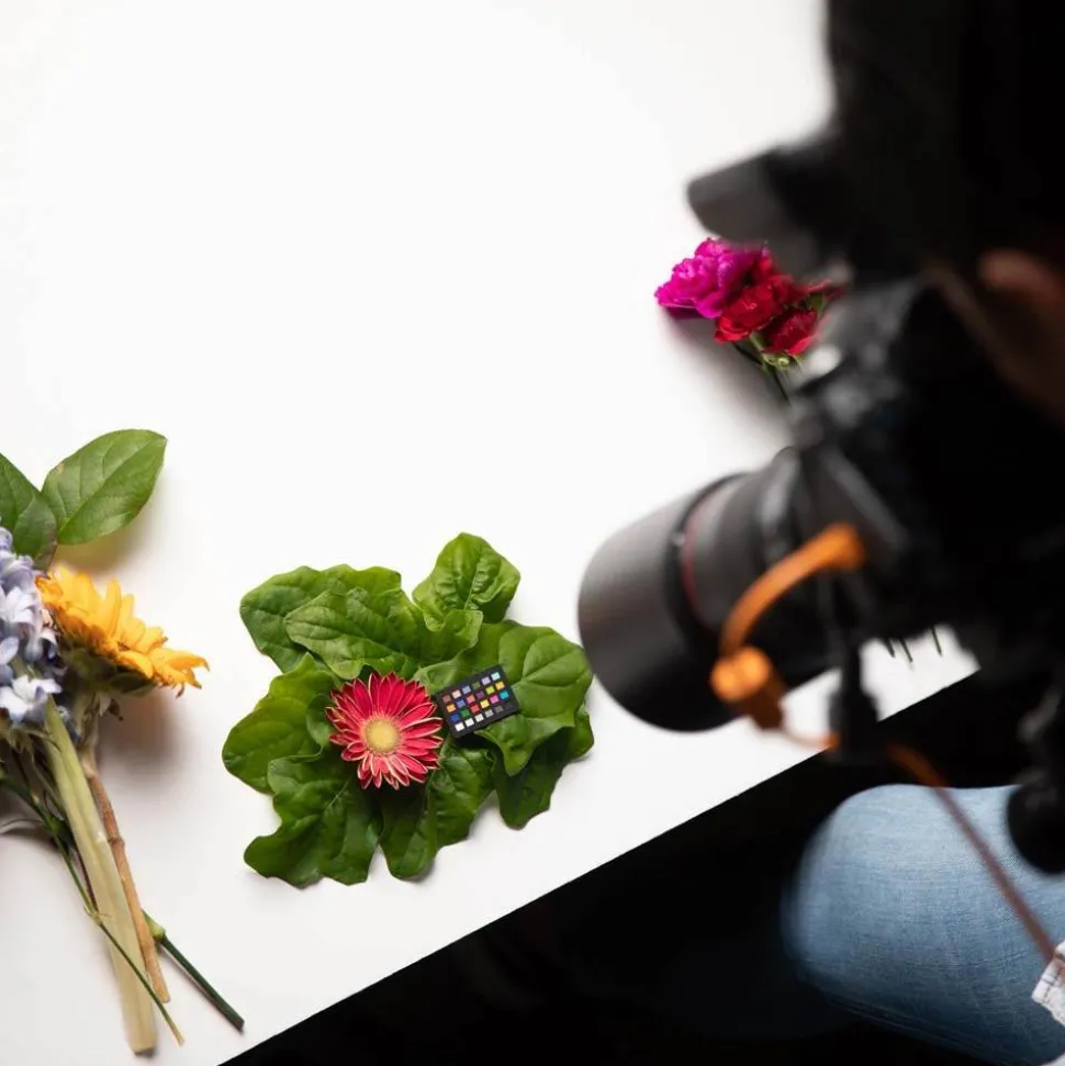 X-Rite ColorChecker Nano